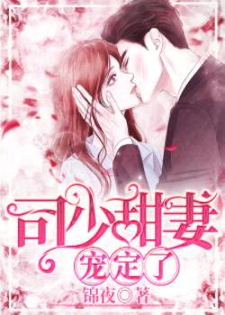 司少甜妻,宠定了